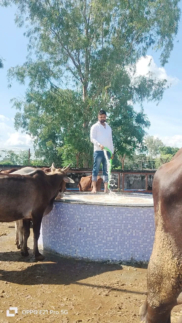 Shri Radhanpur Khodador Gaushala