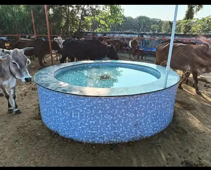 Shri Radhanpur Khodador Gaushala