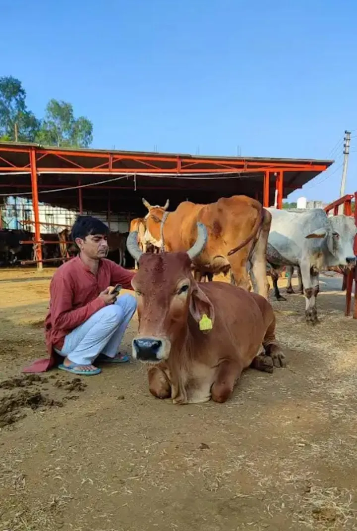 Shri Radhanpur Khodador Gaushala