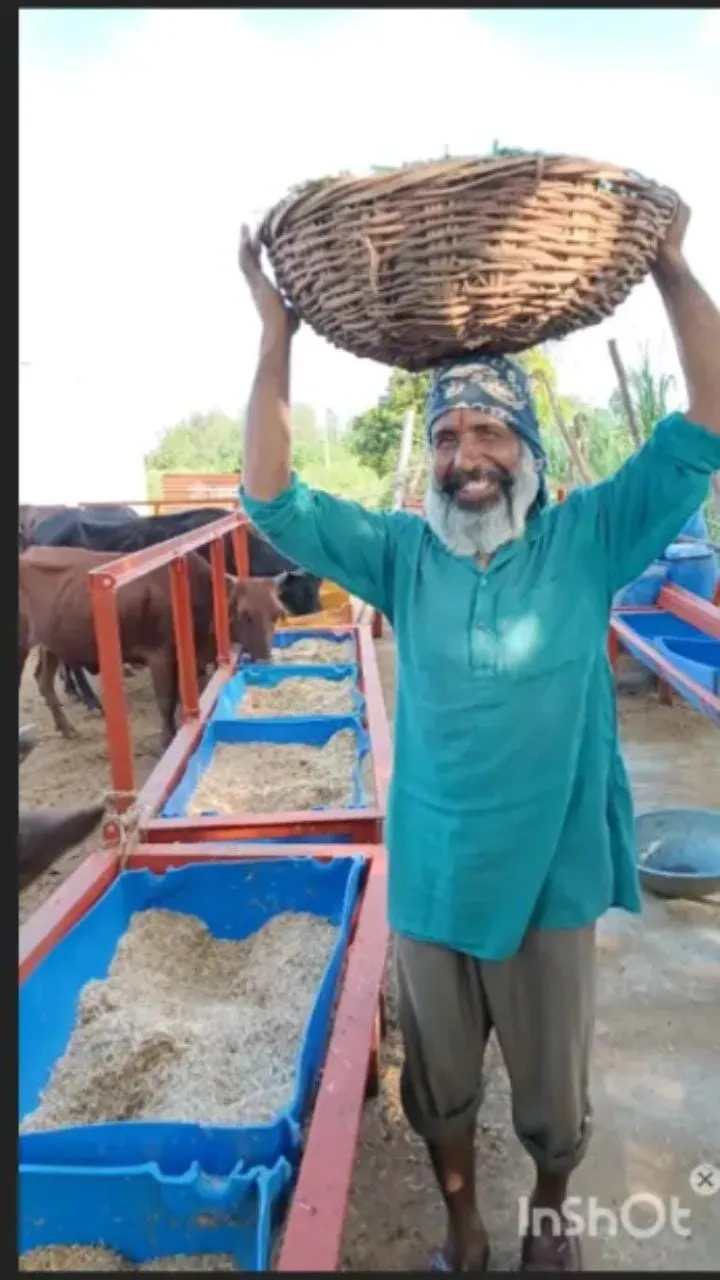 Shri Radhanpur Khodador Gaushala