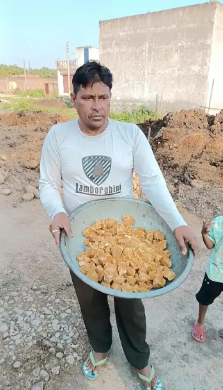 Shri Radhanpur Khodador Gaushala