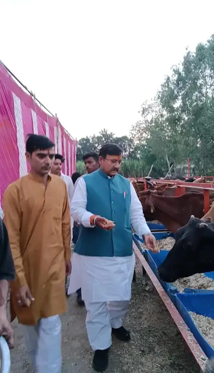 Shri Radhanpur Khodador Gaushala